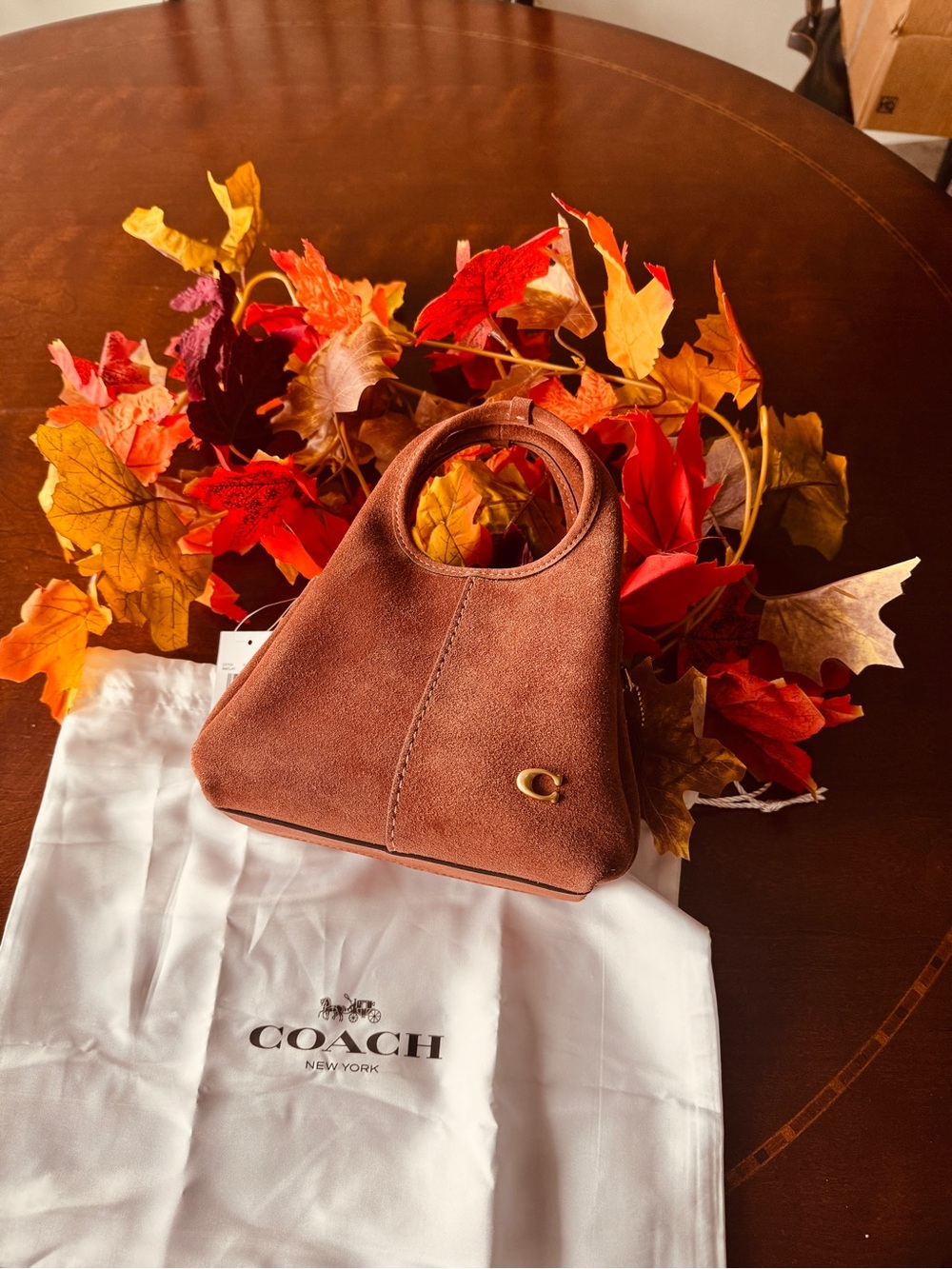 Coach Brown Suede Mini Handle Bag with Gold Accent